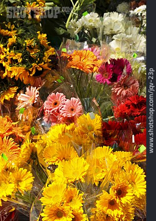 
                Blumenstrauß, Floristik, Blumenladen                   