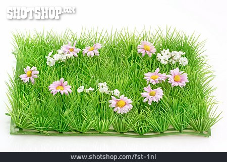 
                Blumenwiese, Gänseblümchen, Kunstrasen                   