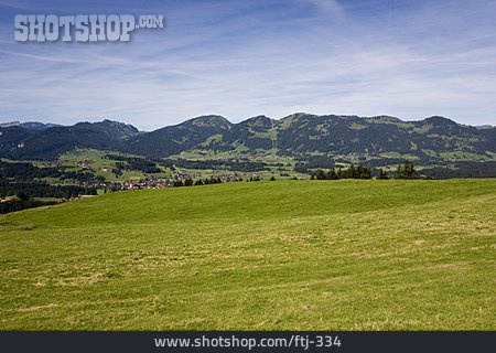 
                Landschaft, Wiese, Weide, Allgäu                   