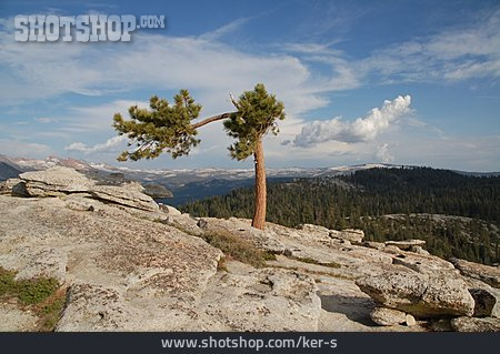 
                Berg, Yosemite-nationalpark                   