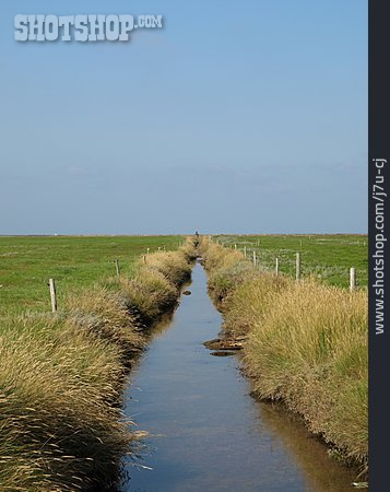 
                Weide, Kanal, Friesland, Priel                   