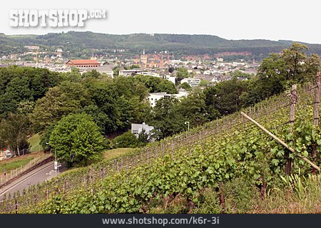 
                Weinbau, Weinberg, Trier                   