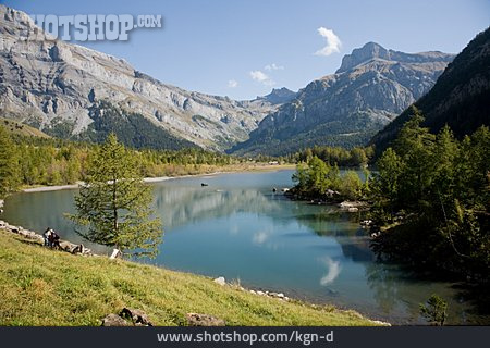 
                See, Bergsee, Schweiz, Lac De Derborence                   