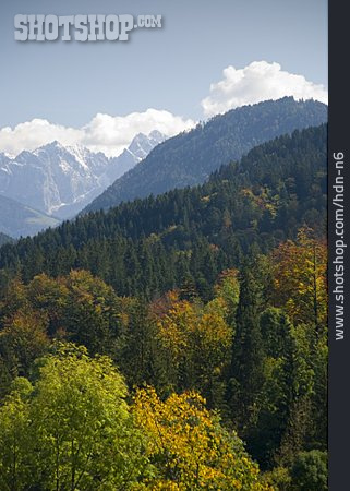 
                Wald, Berglandschaft, Bayern                   