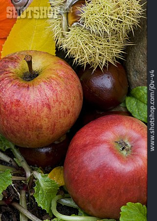 
                Apfel, Herbstlich, Esskastanie                   