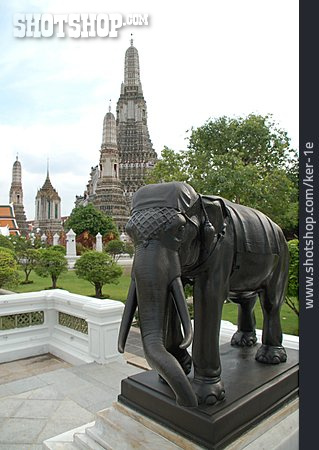 
                Elefant, Bangkok, Tempelanlage, Wat Arun                   