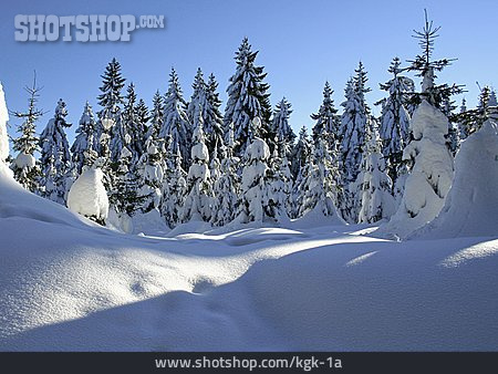 
                Winter, Winterlandschaft                   