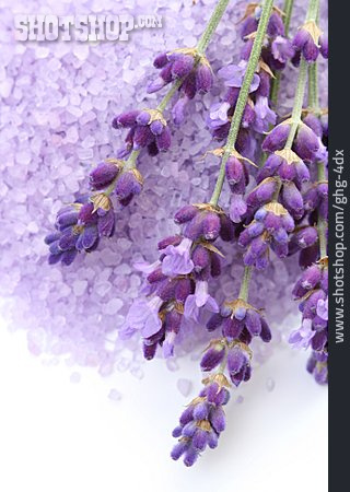 
                Lavendel, Badesalz                   