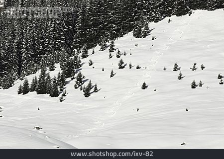 
                Skispuren, Wintersportgebiet                   
