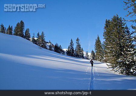 
                Loipe, Skitour, Langläufer                   