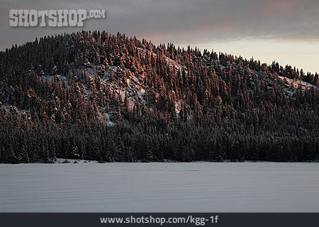 
                Winterlandschaft, Verschneit, Nadelwald                   