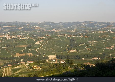 
                Piemont, Weinbaugebiet                   