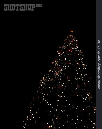 
                Weihnachtsbaum                   