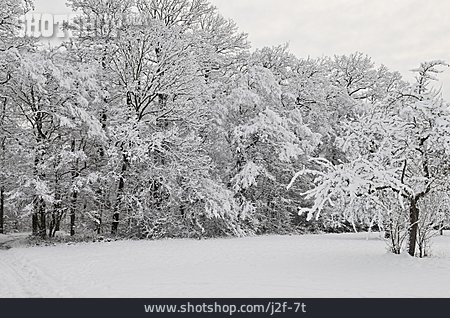 
                Winterlandschaft, Waldrand, Schneelandschaft                   