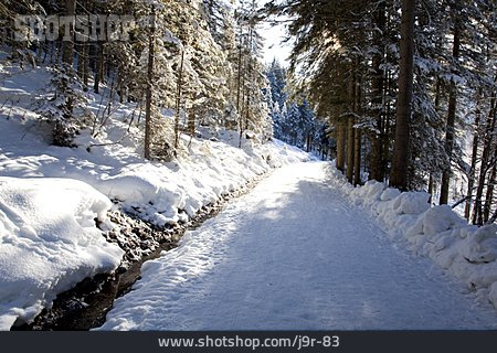 
                Winter, Waldweg                   