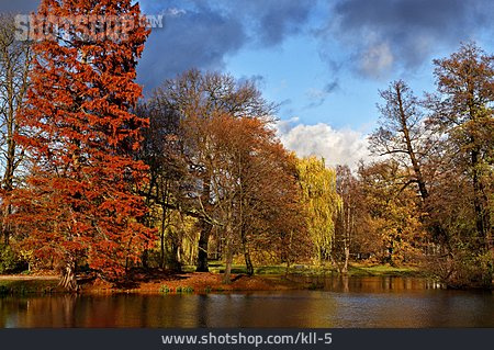 
                Lake, Park, Autumn                   