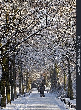 
                Park, Spaziergang, Winterlich                   