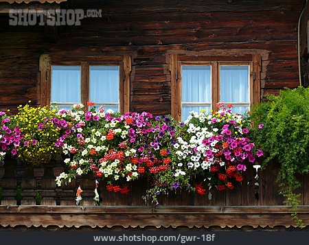
                Fenster, Blumenkasten, Blumendekoration, Blumenbalkon                   