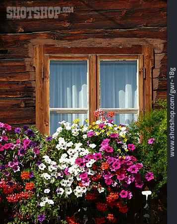 
                Fenster, Blumenkasten, Blumendekoration                   