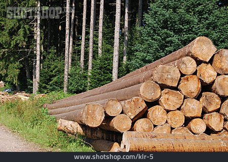 
                Holzstapel, Forstwirtschaft, Schnittholz                   