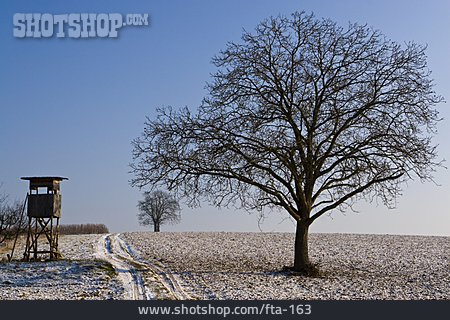 
                Baum, Winterlandschaft, Hochstand                   
