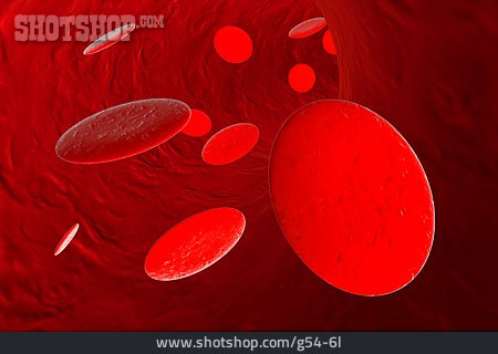 
                Rot, Illustration, Rote Blutkörperchen, Blutbahn                   