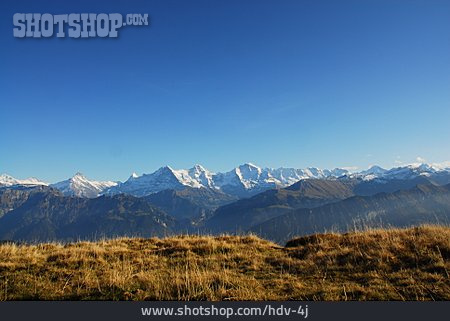 
                Berner Oberland, Berner Alpen, Niederhorn                   