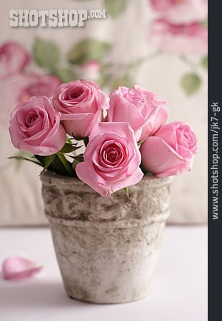 
                Rose, Bouquet                   