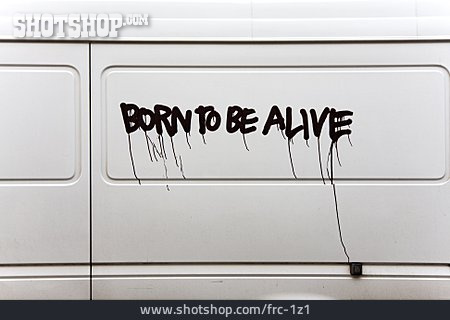 
                Graffiti, Botschaft, Born To Be Alive                   