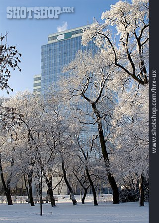 
                Park, Winter, Bürogebäude                   