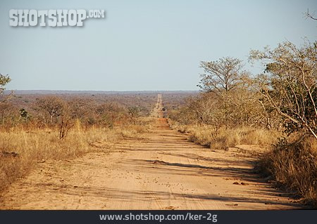 
                Piste, Savanne, Kruger-nationalpark                   