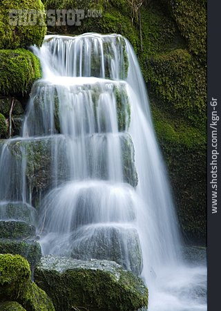 
                Wasserfall, Moos                   