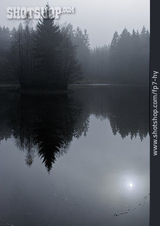 
                See, Nebel, Waldsee                   