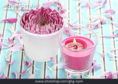 
                Blüte, Tischdekoration, Kerze                   