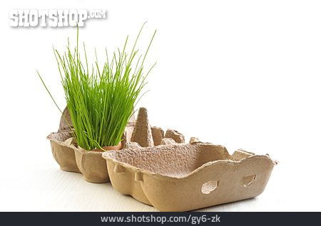 
                Egg Carton, Chive, Culinary Herbs                   