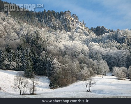 
                Wald, Fels, Bayern, Schneelandschaft                   