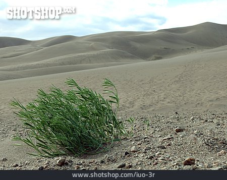 
                Dünenlandschaft, Great-sand-dunes-nationalpark                   