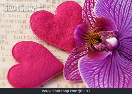 
                Romantik, Schrift, Orchideenblüte, Filzherz                   