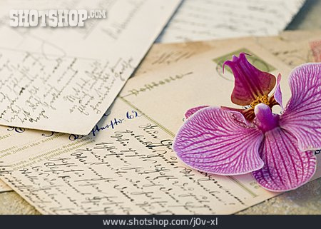 
                Romantik, Schrift, Nostalgisch, Orchideenblüte                   