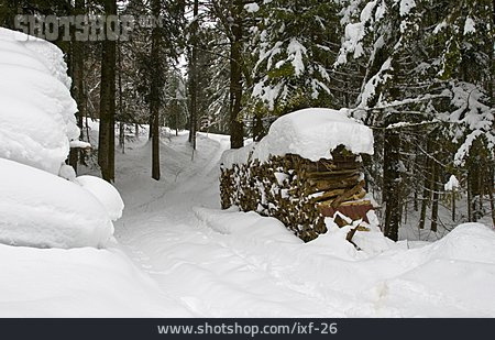 
                Holzstapel, Verschneit, Nadelwald                   