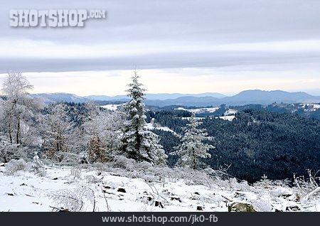 
                Winterlandschaft, Schwarzwald                   