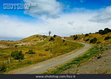 
                Patagonien, Landstraße                   