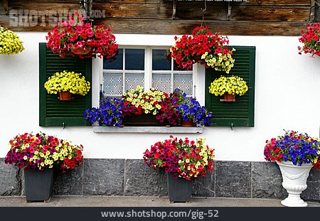 
                Ländlich, Blumenfenster, Blumendekoration                   