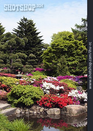 
                Parkanlage, Blumenbeet, Japanischer Garten                   