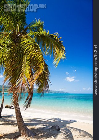 
                Karibik, Sandstrand, Strandurlaub                   