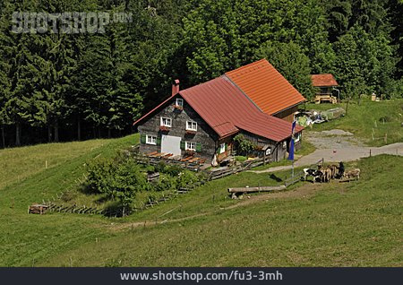 
                Allgäu, Berghütte, Steibis                   