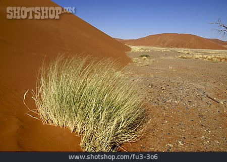 
                Düne, Namibia, Sossusvlei                   