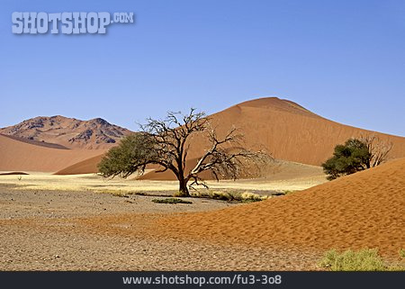 
                Namibia, Sossusvlei, Namib-wüste                   