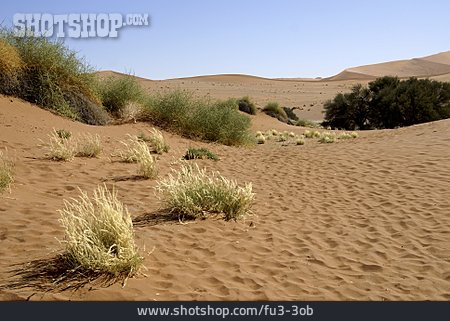 
                Wüste, Sossusvlei, Namib-wüste                   