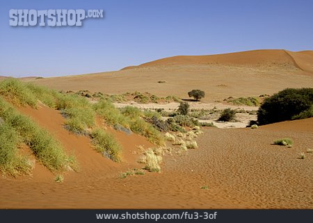 
                Namibia, Sossusvlei, Namib-wüste                   